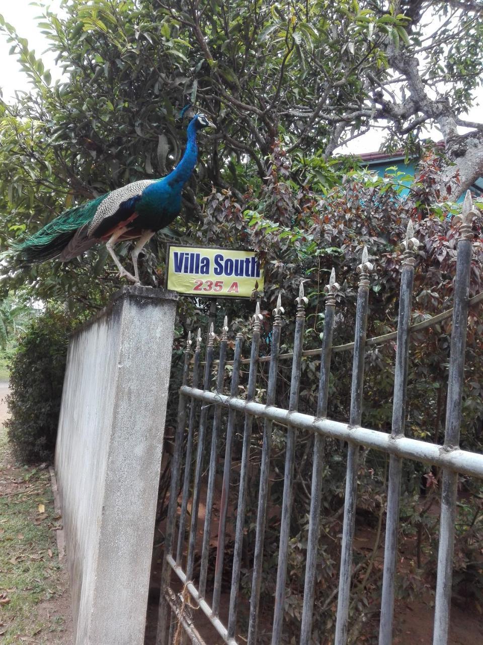 Weligama Villa South ภายนอก รูปภาพ